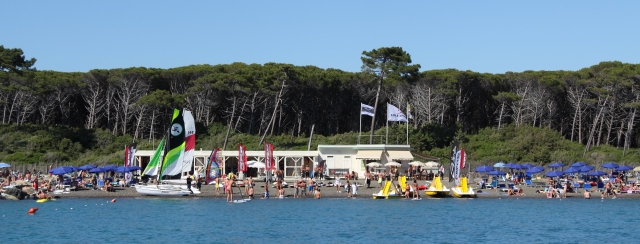  The beach we operate on 